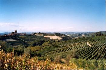 Camping Sole Langhe