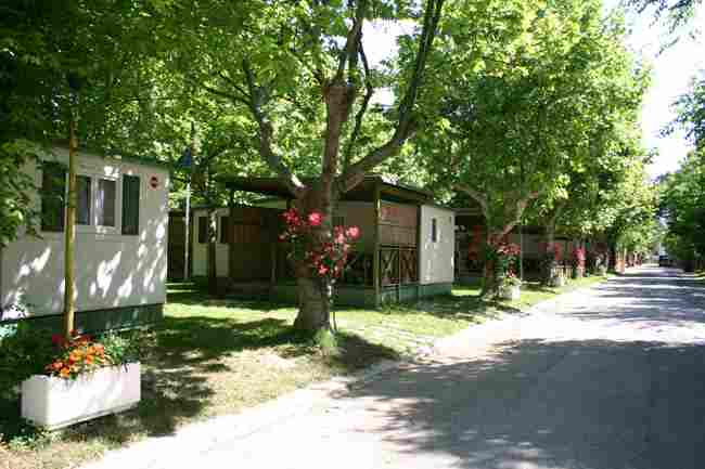 visit Camping Delle Rose