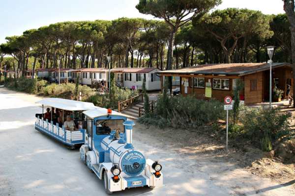 visit Pineta sul Mare Camping Village