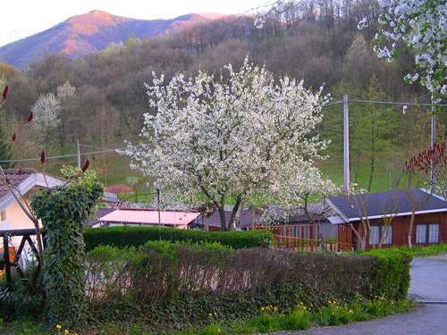visit Camping Bellavita