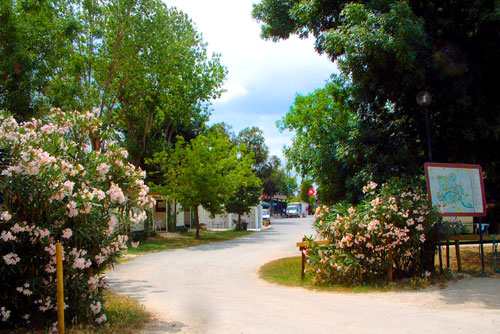 Torre Pendente Camping Village