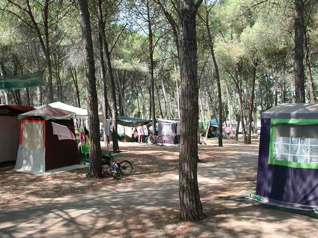 Besuch Camping Cammello Grigio
