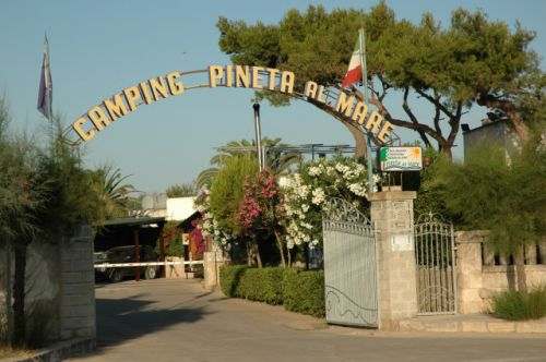 visualiser la fiche de Camping Pineta al Mare