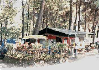 visualiser la fiche de Camping al Bosco