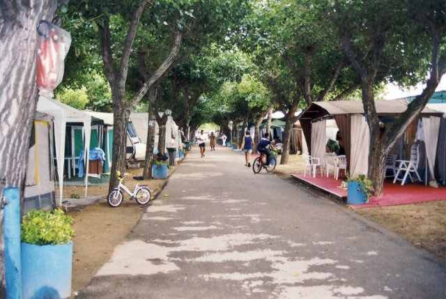 Camping Spiaggia di Velluto 