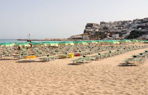 Camping Parco degli Ulivi